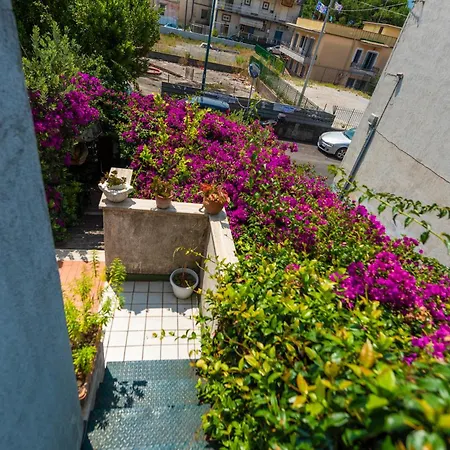 Terra Mia In Terrazza