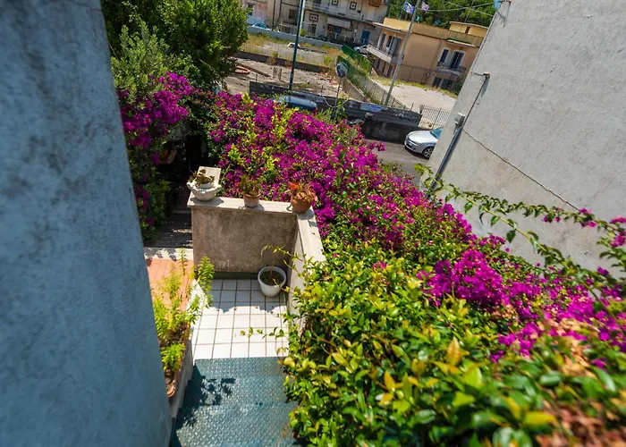 Terra Mia In Terrazza